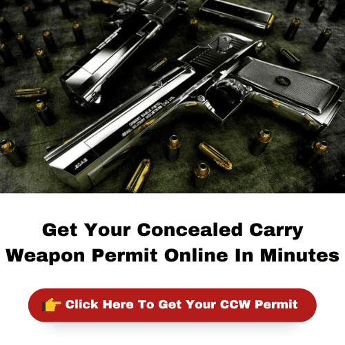 Florida Open Carry Laws, Requirements, Application & Online Training